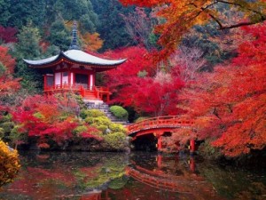 Kyoto-citta-più-bella-del-mondo-21-533x400